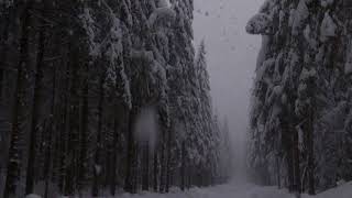 Beautiful Relaxing Heavy Snowfall 3 Hour  Calm Breeze and Falling Snowflakes 23 [upl. by Jammie]