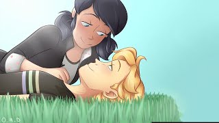 Marinette x Adrien in Future Miraculous Ladybug Comic Dub [upl. by Ylecic]