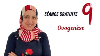 Ovogenèse Séance gratuite [upl. by Aivyls]