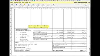 BMD NTCS Lohnverrechnung Reports und Auswertungen [upl. by Dorion]