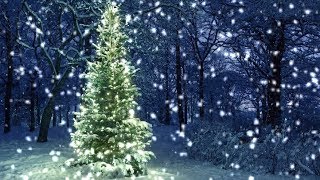 10 Hours Snowfall on Christmas Tree in the Woods  Video amp Audio 1080HD SlowTV [upl. by Adnolat]