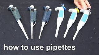 How to Use Micropipettes  Techniques Demonstration [upl. by Drawyah631]