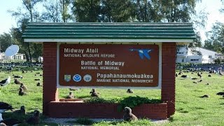 GAO Midway Atoll’s History and Habitat [upl. by Thorlie]