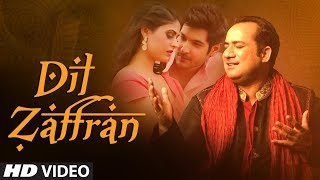 Dil Zaffran Video Song  Rahat Fateh Ali Khan  Ravi Shankar  Kamal Chandra  Shivin  Palak [upl. by Maroj180]