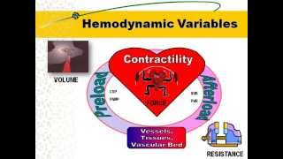 Hemodynamic Principles [upl. by Rosaline]