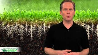 Lawn Aeration  Core Aeration  TruGreen [upl. by Manchester985]