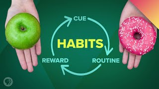 How Habits Can Change Your Life and Your Brain [upl. by Iphigenia]