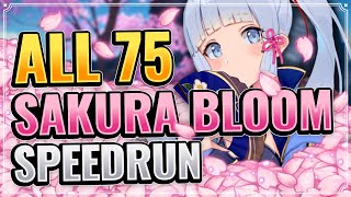 ALL 75 SAKURA BLOOM LOCATIONS DETAILED  EFFICIENT ROUTE Genshin Impact Farming Route Inazuma [upl. by Roxie]