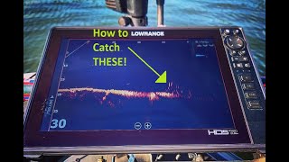 How to catch more bass using Lowrance ACTIVE TARGET Lake Guntersville [upl. by Asilanom]