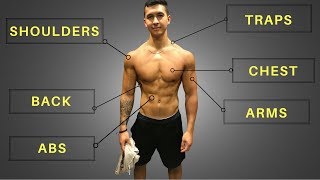 My FULL Training Routine Workouts Diet amp Cardio [upl. by Hako]