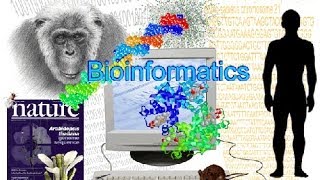 Bioinformatics part 1 What is Bioinformatics [upl. by Ruckman]