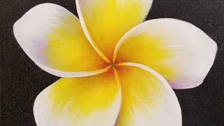 Plumeria Flower Acrylic Painting LIVE Tutorial [upl. by Atikam867]