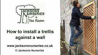 How to install a trellis against a wall [upl. by Lynch564]