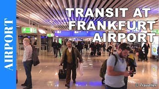 TRANSIT WALK AT FRANKFURT Airport FRA Terminal 1  Connection Flight Transfer Arriving amp Departing [upl. by Anehsat354]