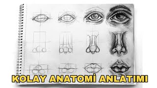 GÖZ  BURUN  DUDAK ANATOMİ ÇİZİMİ  Temel portre çalışması  Detaylı Anlatım 1 [upl. by Pesvoh344]