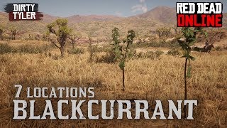 Blackcurrant Locations Red Dead Online [upl. by Leatrice]