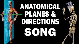 ANATOMICAL PLANES AND DIRECTIONS SONG [upl. by Amil]