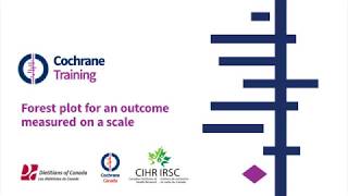 Forest plot for an outcome measured on a scale [upl. by Siuqcram]