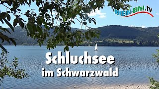 Schluchsee  Schwarzwald  RheinEifelTV [upl. by Haelhsa]