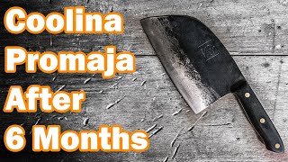 TRUTH of Serbian Chef Knife After 6 Months [upl. by Chase]