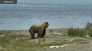 Lower River  Katmai National Park 2022 Season Highlights [upl. by Krysta]