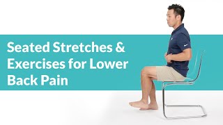 Back Stretches  Exercises  For LOWER BACK PAIN [upl. by Dalenna]