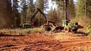 Timber Harvesting Part 1 logging [upl. by Amalbena]