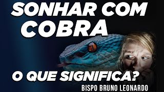 SONHAR COM COBRA O QUE SIGNIFICA [upl. by Yorgen]