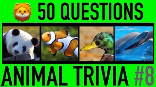 ANIMAL TRIVIA QUIZ 8  50 Animals Knowledge Trivia Questions and Answers  Animal Pub Quiz [upl. by Ulrick591]