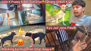 Blacking K Bachpn Ka Dushman Ghar Aaya🐶 Dono Per Tod Diya Kise N Julie K Puppy K😡Jail Jana Pdgya😰 [upl. by Coleville398]