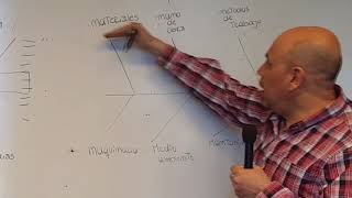 DIAGRAMA DE ISHIKAWA [upl. by Ayenet]