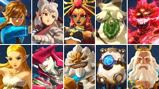 Hyrule Warriors Age of Calamity  All Characters [upl. by Amadas]