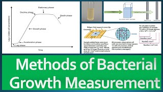 Growth Measurement Methods [upl. by Durrace]