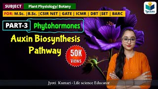 AUXIN BIOSYNTHESIS  PHYTOHORMONE PART3 CSIR NET PLANT BIOLOGY [upl. by Einon]