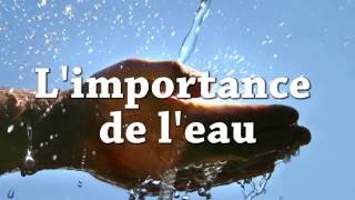 Limportance de leau [upl. by Welcome]