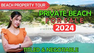 LFS 29  Php 30M  Beach For Sale with House and lot  Beach Front Private Resort 2024 [upl. by Radcliffe205]