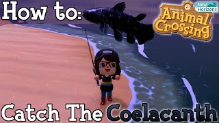 How to Catch the Coelacanth in Animal Crossing New Horizons [upl. by Westphal]