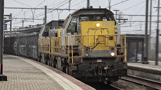 Train at Vilvoorde Station 4K 170125 [upl. by Anallise]