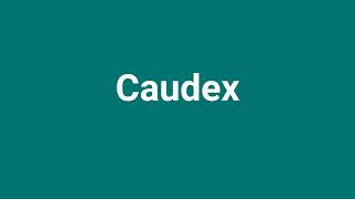 Caudex Meaning and Pronunciation [upl. by Kalindi263]