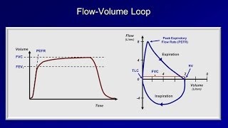 Pulmonary Function Tests PFT Lesson 2  Spirometry [upl. by Alik]