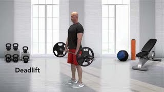 How to do a Barbell Deadlift [upl. by Luke580]