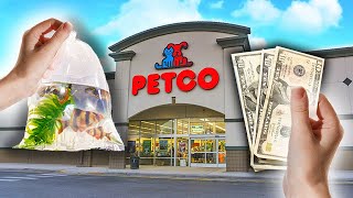 Top 5 Petco Fish I Would Buy [upl. by Reeve]