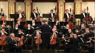 Beethoven Sinfonia 5 [upl. by Avilys]