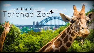 Taronga Zoo Sydney Australia [upl. by Tilney167]