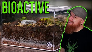 How To Build a Tarantula Bioactive Enclosure  YOU CAN DO IT [upl. by Nickolas]