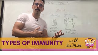 Humoral and Cell Mediated Immunity [upl. by Ahsikel]