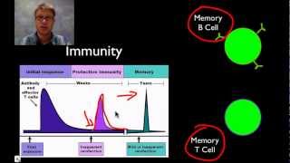 The Immune System [upl. by Cohleen868]