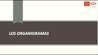 Organigramas en la empresa [upl. by Shana9]