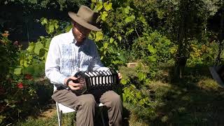 Orange in Bloom Jeffries Anglo concertina [upl. by Earised]