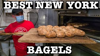 Best NYC BAGEL amp How to make HandRolled Bagels [upl. by Philly]